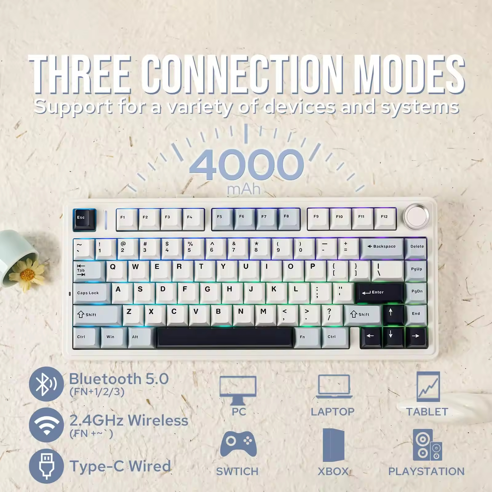 Shopping Sites International W - đánh giá và giá Gaming Accessories Shop